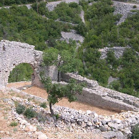 Apartment Starigrad/Senj 1 Starigrad  Eksteriør bilde